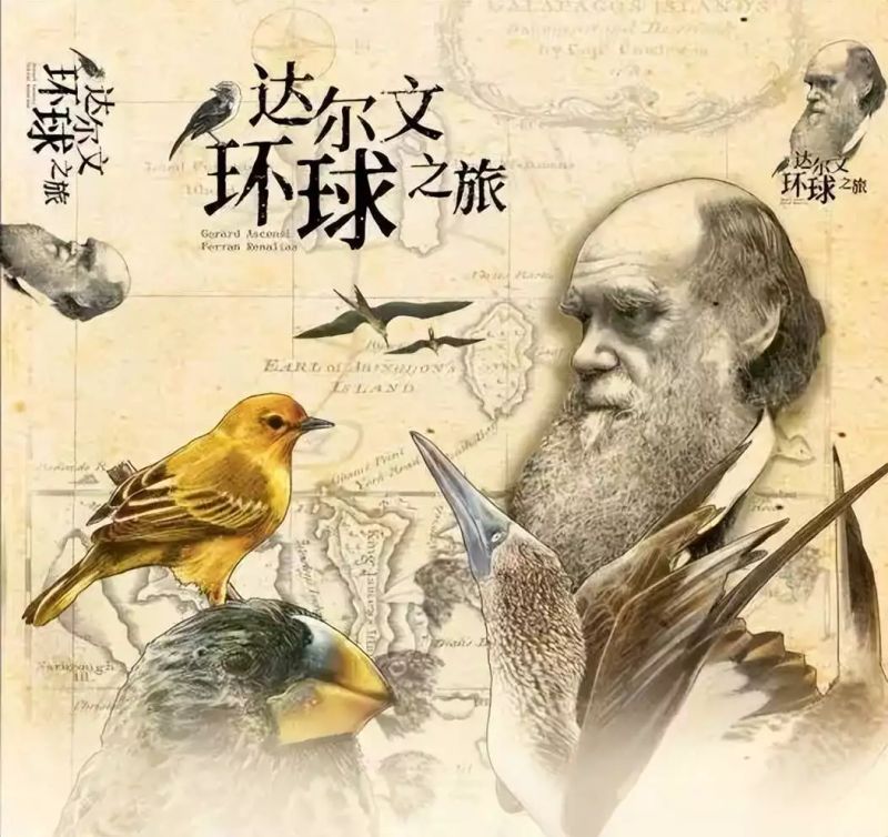 达尔文理论是什么意思