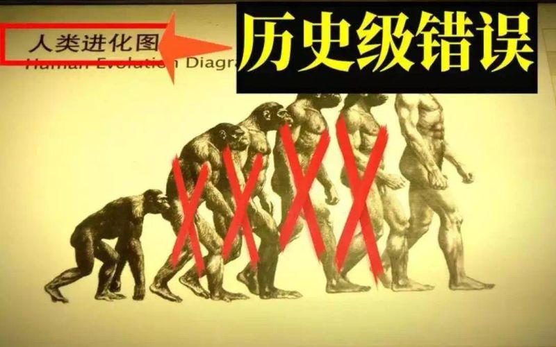 达尔文理论是什么意思