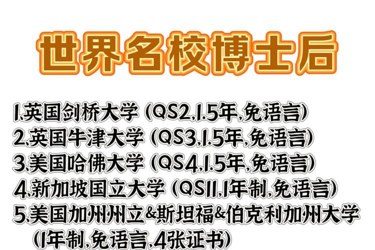 在哪里学习seo