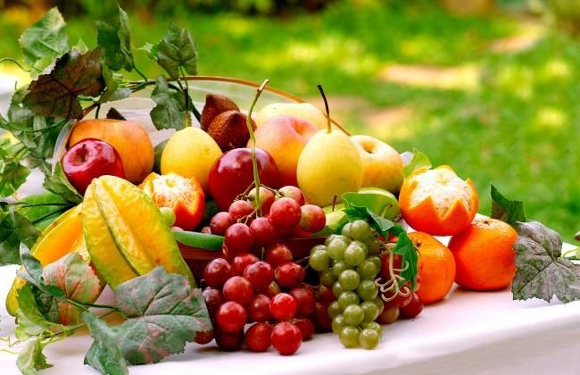 Fruit cultivation risk