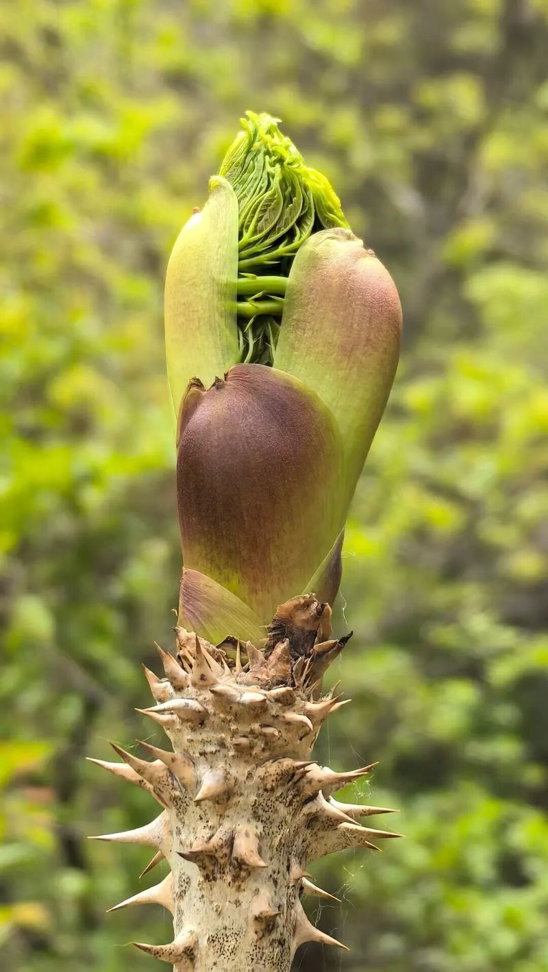 Cultivation methods