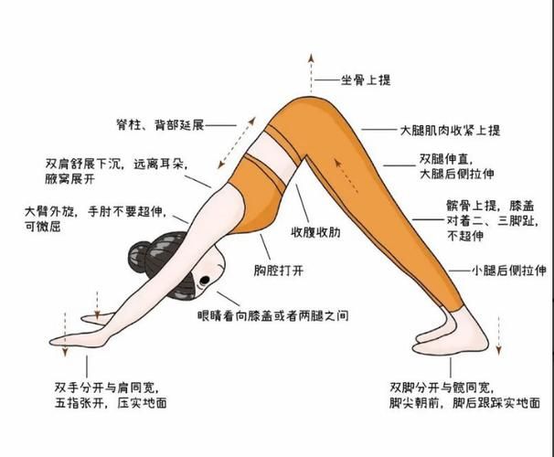 练习瑜伽常识