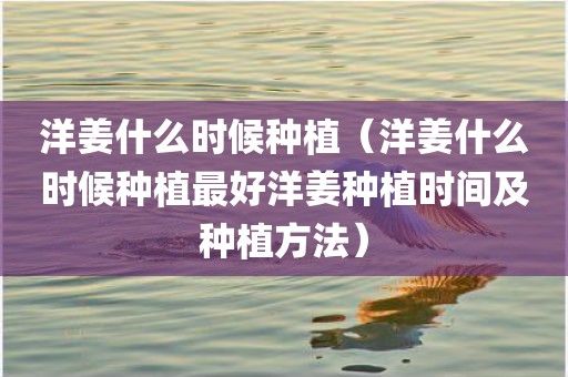 鬼子姜的种植方法