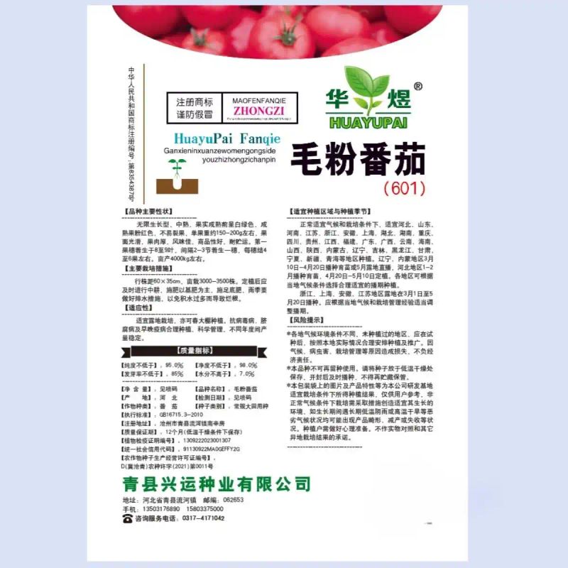 小蕃茄种植技术视频