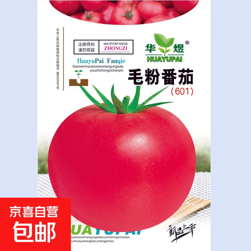 小蕃茄种植技术视频