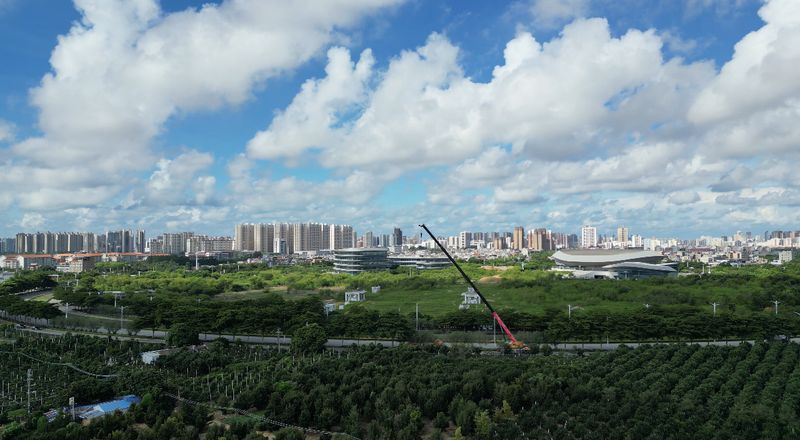 罗汉松种植技术视频