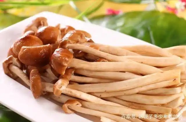 茶树菇种植技术难点
