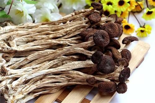 茶树菇种植技术难点