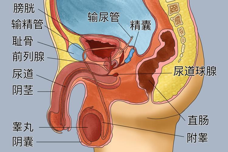 Treatment of urinary tractitis