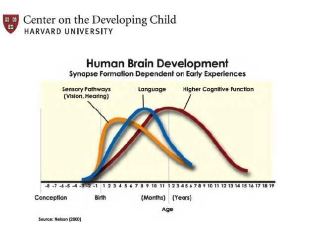 幼升小图形规律题技巧