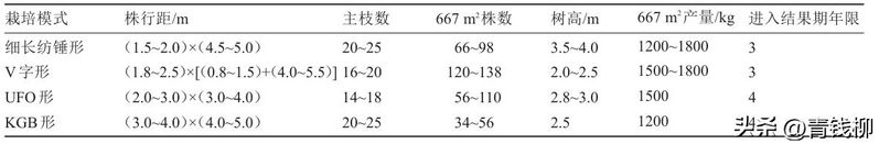 樱桃树苗的种植方法