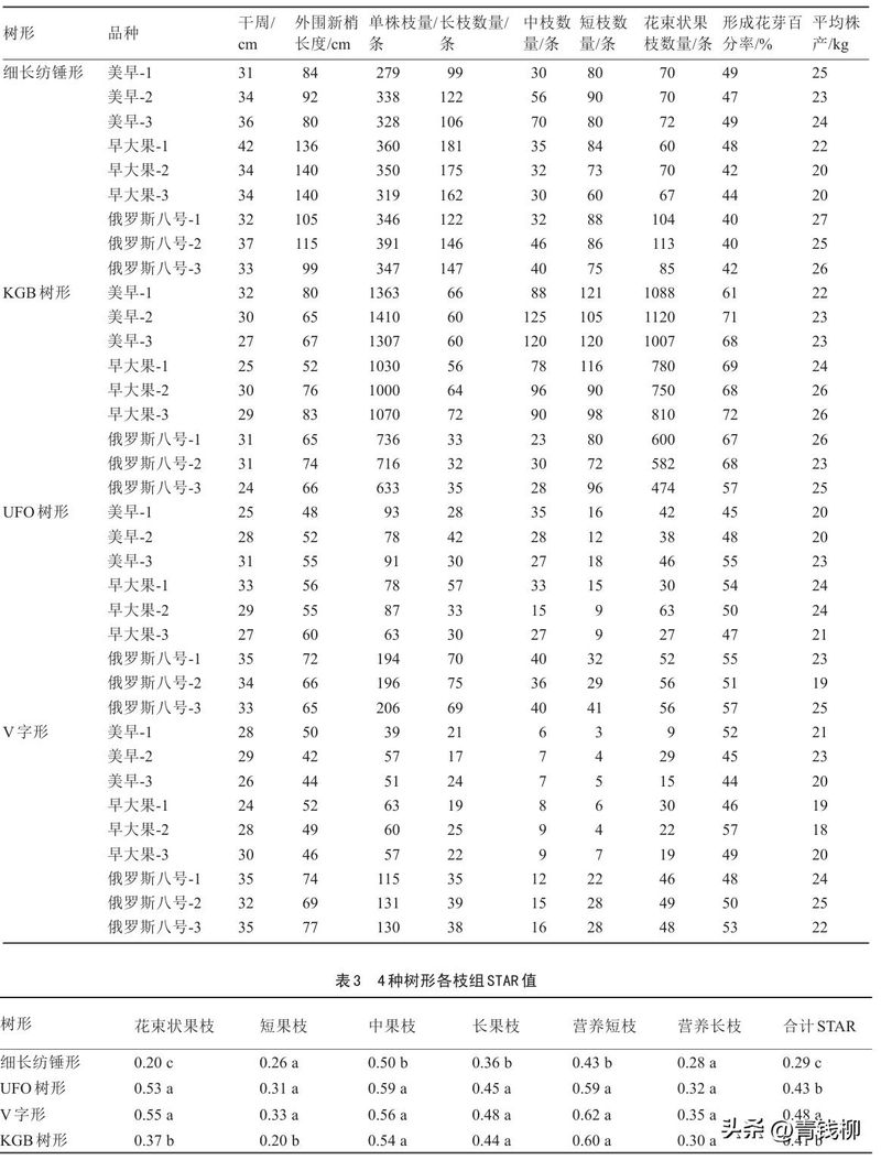 樱桃树苗的种植方法