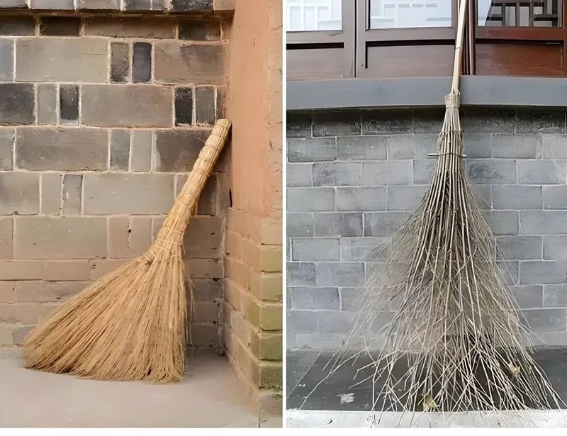 苕尖种植技术