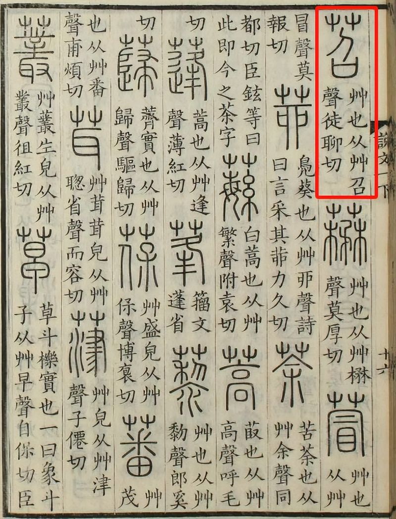 苕尖种植技术