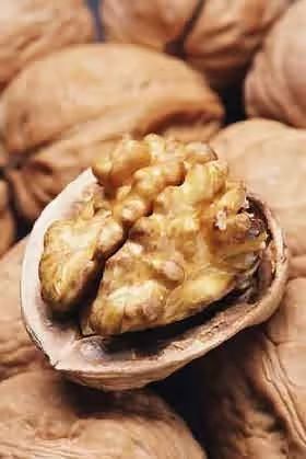 核桃的种植方法