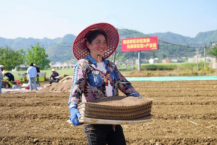 最新水稻种植技术视频