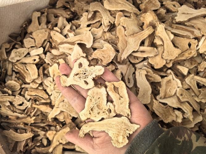 白术种植技术参考文献