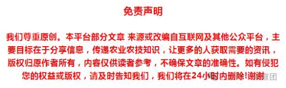 简易大棚丝瓜种植技术
