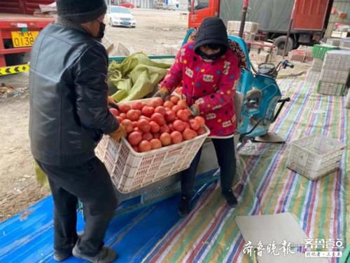 大棚豆角种植技术视频